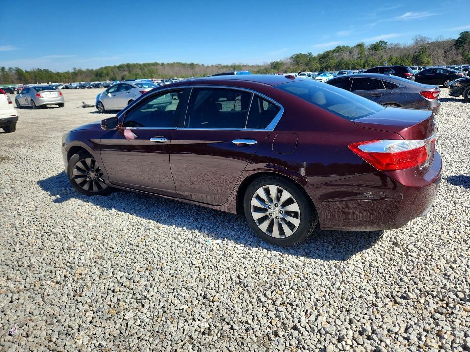 2013 Honda Accord exl