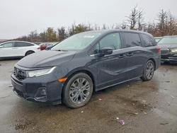 Honda salvage cars for sale: 2025 Honda Odyssey Touring