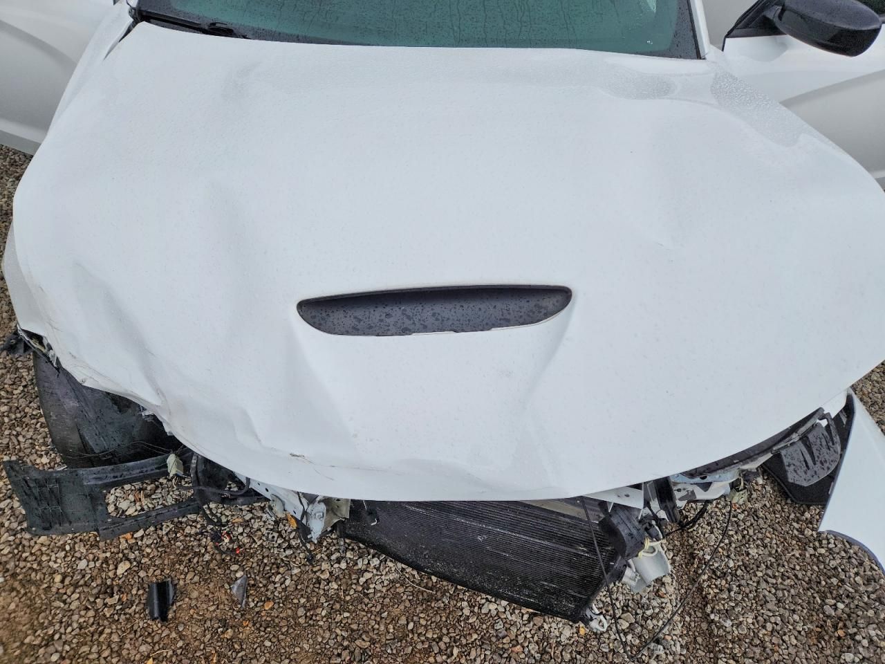 2019 Dodge Charger R/T