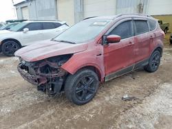 2014 Ford Escape se en venta en Davison, MI
