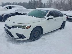2024 Honda Civic ex en venta en Cookstown, ON