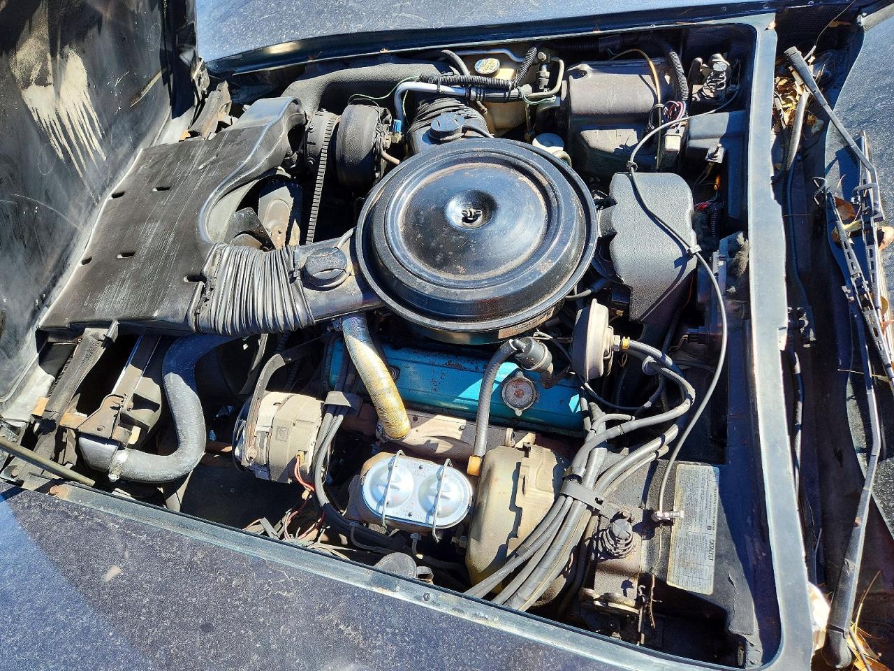 1979 Chev Corvette