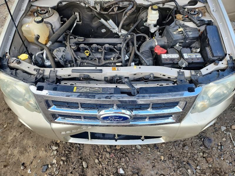 2010 Ford Escape xlt