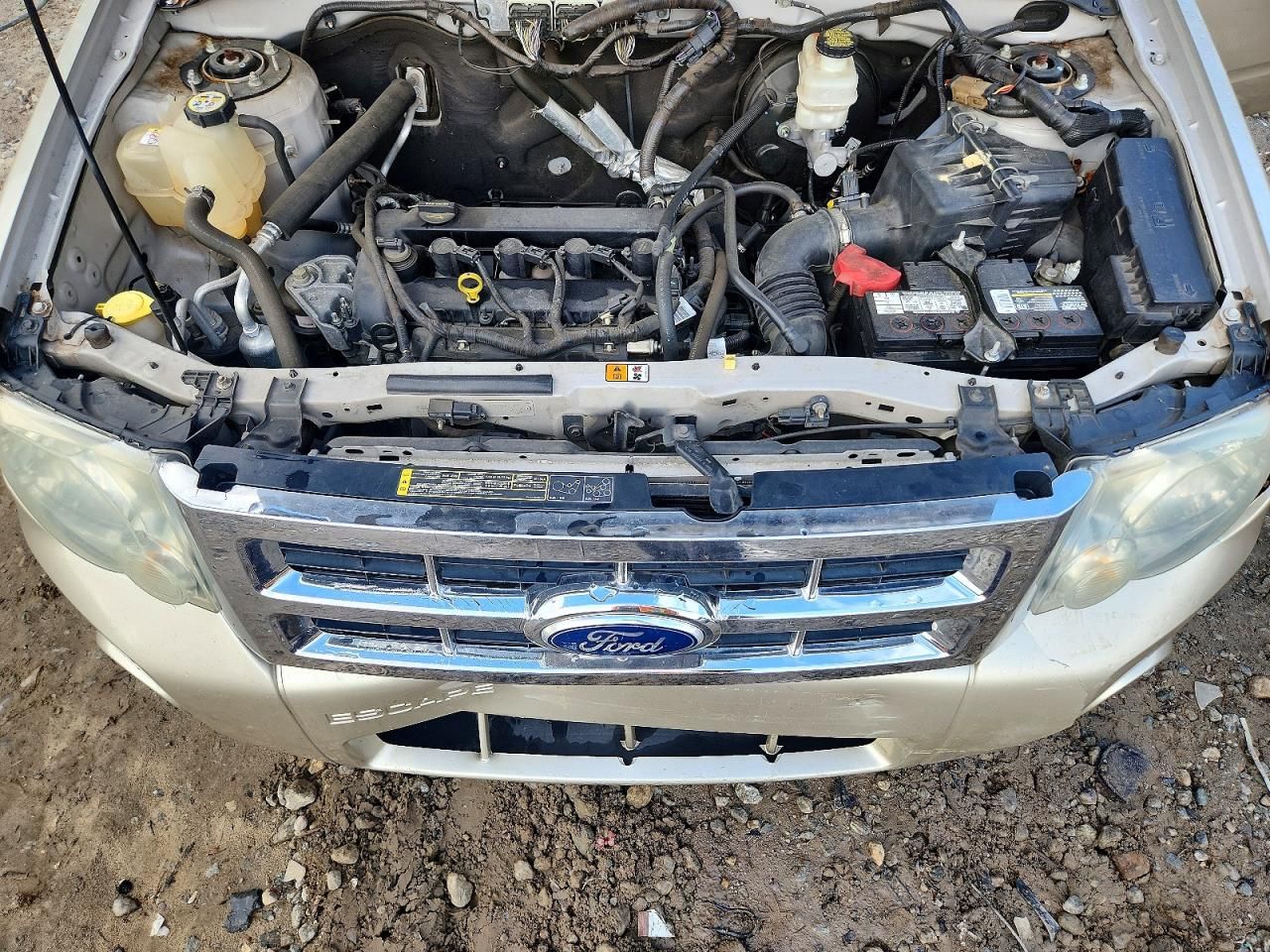 2010 Ford Escape xlt