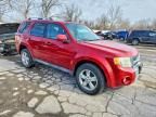 2010 Ford Escape Limited