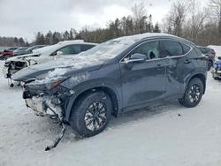 Lexus salvage cars for sale: 2022 Lexus Nx 350h