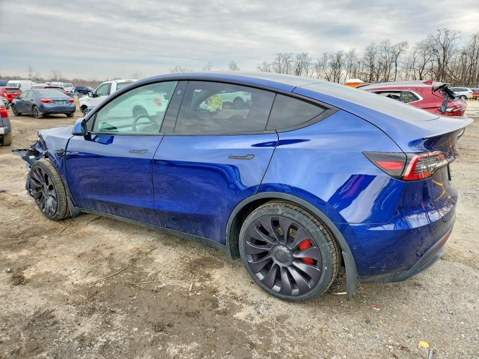 2021 Tesla Model y