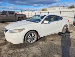 2011 Honda Accord exl for sale in Bakersfield, CA