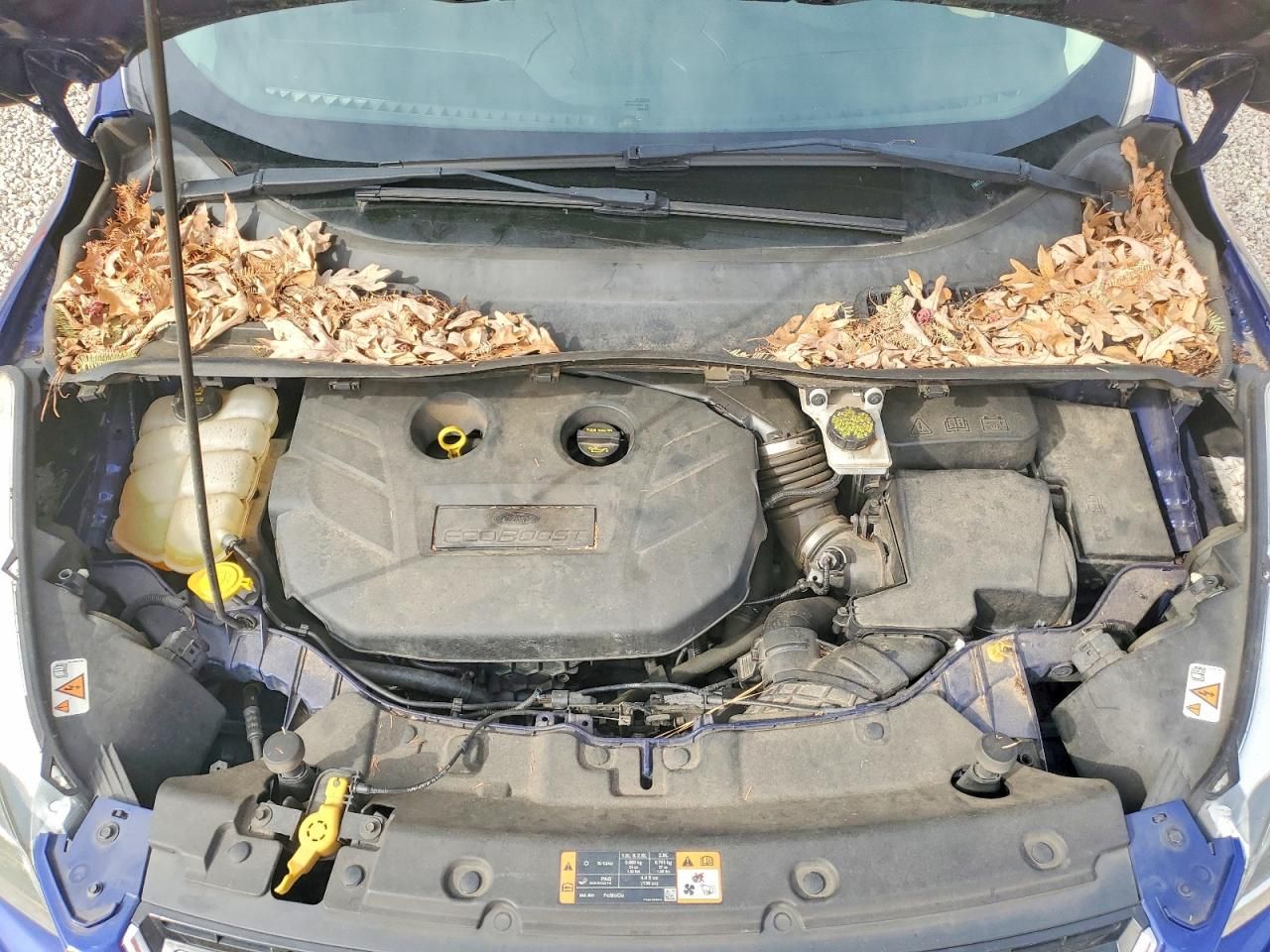 2016 Ford Escape Titanium