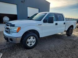 Ford salvage cars for sale: 2013 Ford F150 Supercrew
