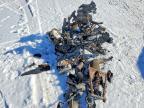 2000 Arctic Cat Snowmobile