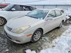 2004 Lexus Es 330 Base