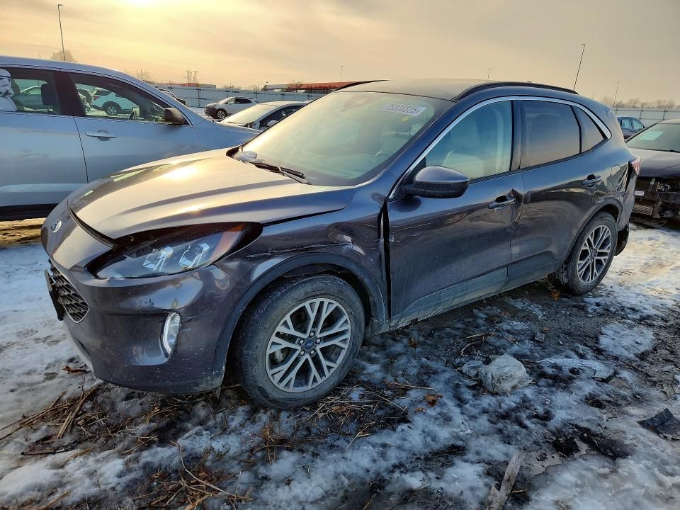 2020 Ford Escape sel