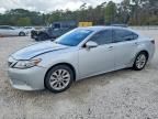 2013 Lexus Es 300h