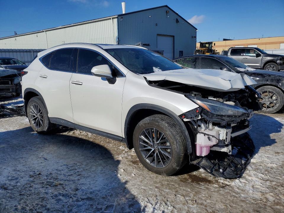 2024 Lexus Nx 350 Premium