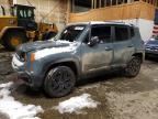 2017 Jeep Renegade Trailhawk