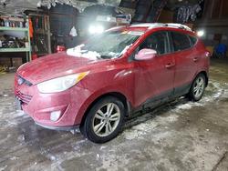 Hyundai Tucson gls salvage cars for sale: 2013 Hyundai Tucson gls