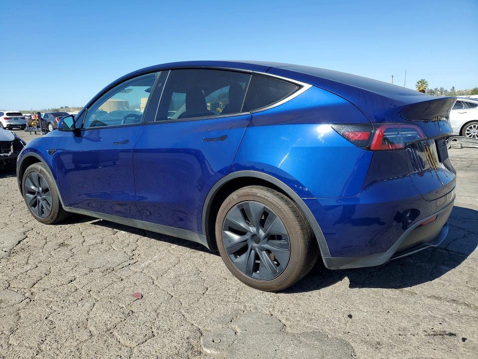 2025 Tesla Model y