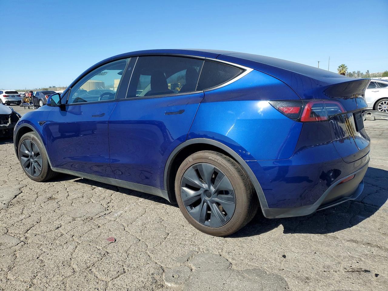 2025 Tesla Model y