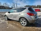 2010 Nissan Murano s