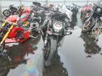 2024 BMW M 1000 R