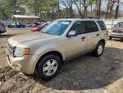 Vehiculos salvage en venta de Copart Austell, GA: 2010 Ford Escape xlt