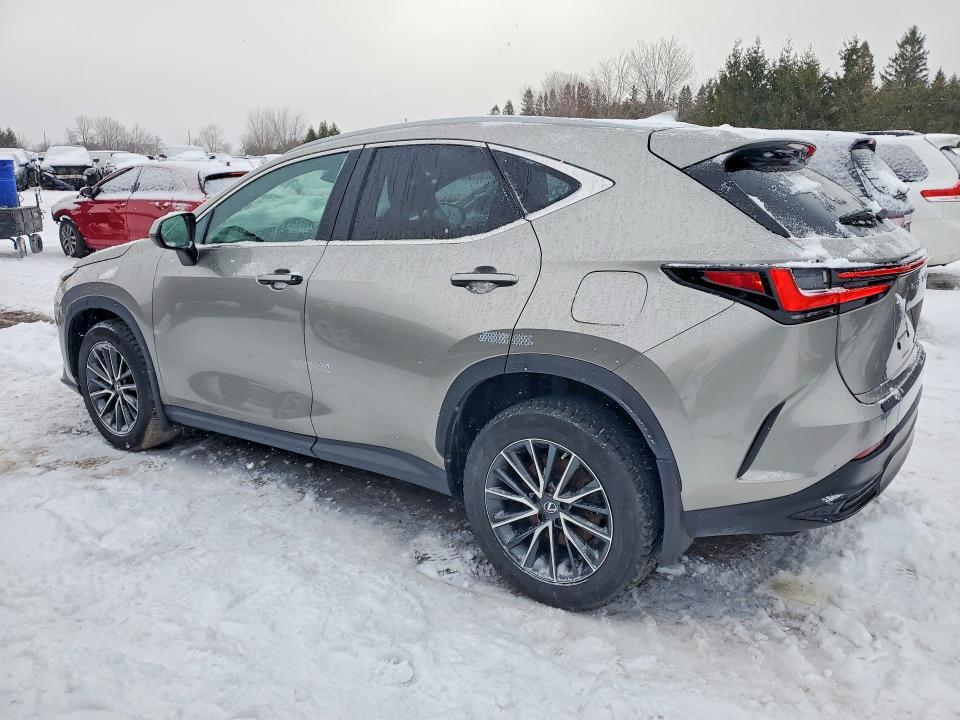 2023 Lexus NX