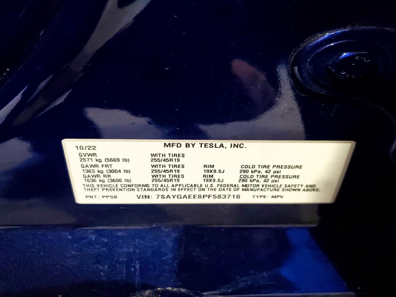 2023 Tesla Model y