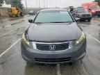 2008 Honda Accord lxp