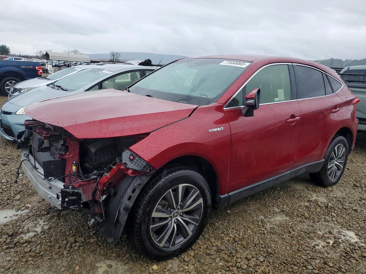2021 Toyota Venza le