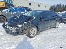 Toyota salvage cars for sale: 2020 Toyota Corolla le