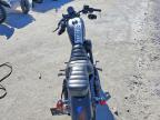 2021 Harley-Davidson XL883 N