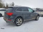 2015 Audi Q5 tdi Premium Plus