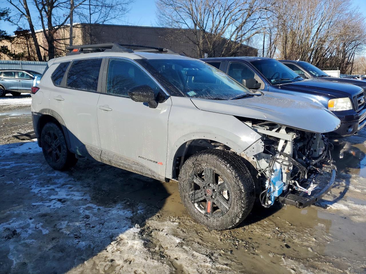 2025 Niss Rogue Rock Creek