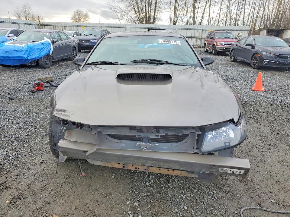 2001 Ford Mustang gt