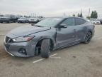 2019 Niss Maxima s