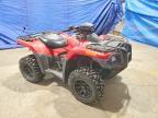 2025 Honda Rubicon TRX