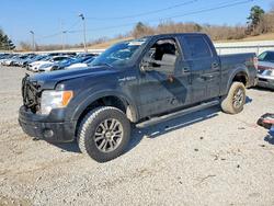 2014 Ford F150 Supercrew en venta en Grenada, MS