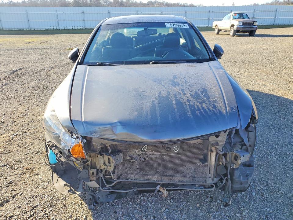2009 Honda Accord exl