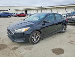 Ford Focus se salvage cars for sale: 2016 Ford Focus se