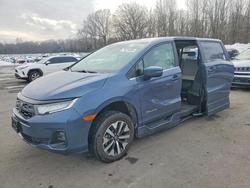 Honda salvage cars for sale: 2025 Honda Odyssey exl
