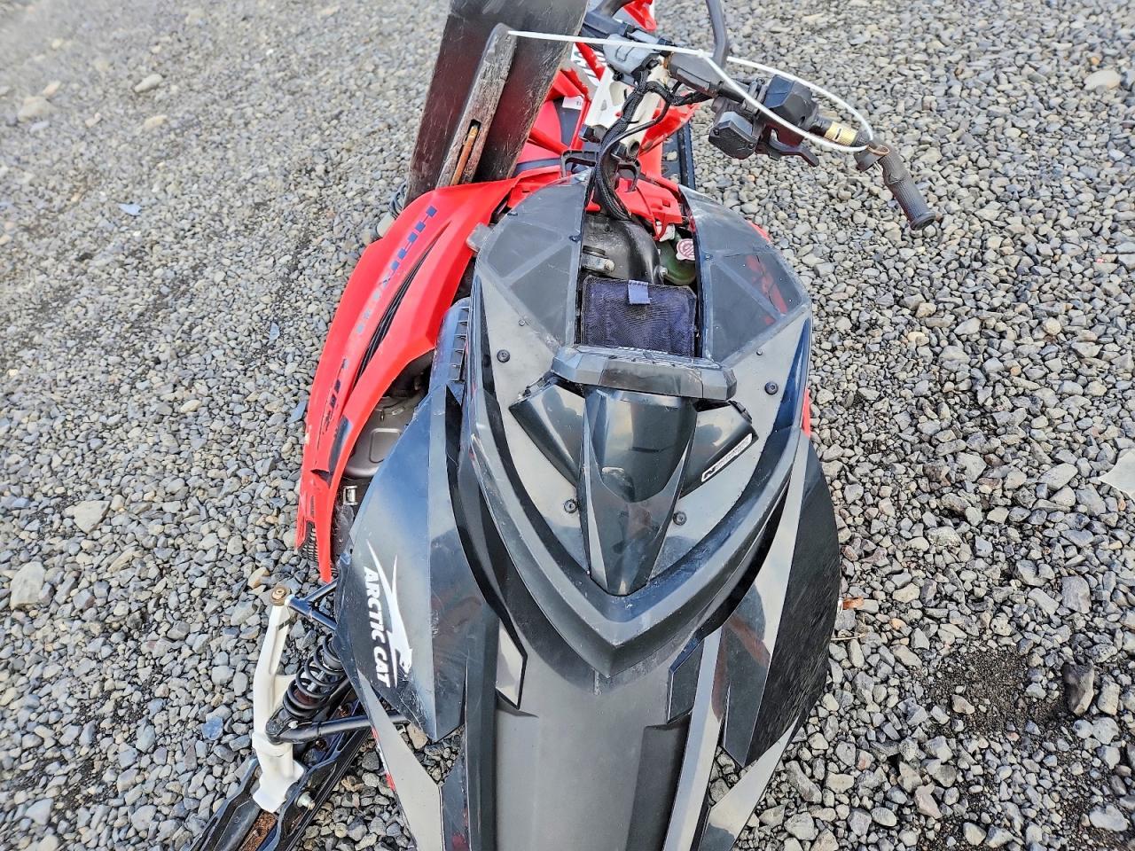 2021 Arca 2021 Arti M800