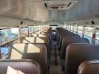 2023 Blubird School Bus / Transit Bus