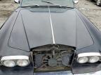 1981 Rolls-Royce Corniche