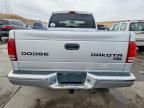 2003 Dodge Dakota Quad slt