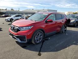 2022 Honda Cr-v exl for sale in Martinez, CA