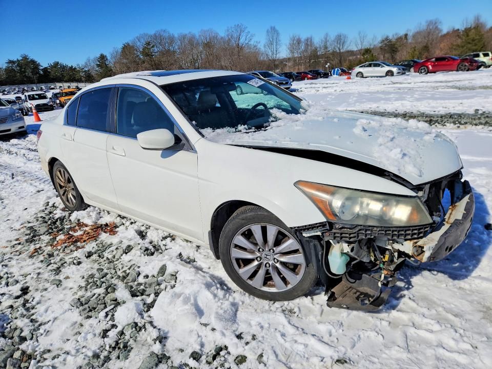 2011 Honda Accord exl