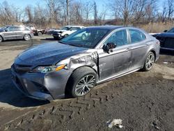 2019 Toyota Camry l en venta en Marlboro, NY