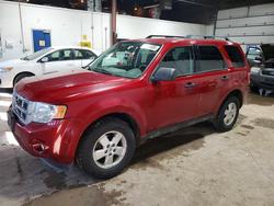 2009 Ford Escape xlt en venta en Blaine, MN