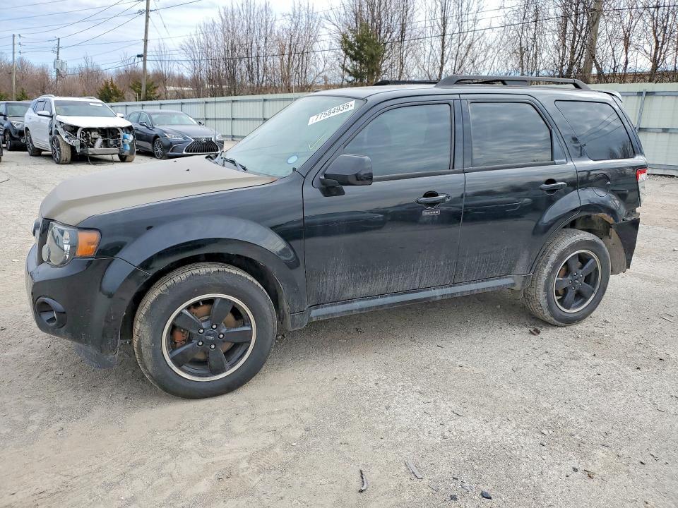 2010 Ford Escape xlt